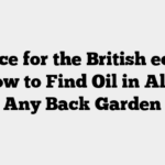 Preface for the British edition of How to Find Oil in Almost Any Back Garden Preface for the British edition of How to Find Oil in Almost Any Back Garden